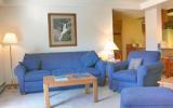 Appartamento Di Vacanza Steamboat Springs: Torian Plum Plaza 304 ...