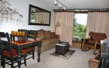 Appartamento Di Vacanza Steamboat Springs: Bronze Tree Condos - B105 ...