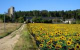 Casa Di Vacanza Francia: Domaine De Cessigny (Fr-37500-05) 