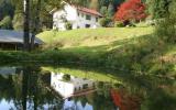 Appartamento Di Vacanza Karnten: Hollinger (At-9542-03) 