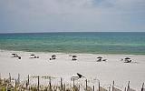 Appartamento Di Vacanza Destin Florida: Beach House Condominium B303B ...