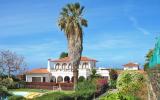 Casa Di Vacanza Puerto De La Cruz Canarias: Pdc (Pdc111) 