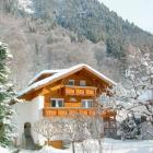 Appartamento Di Vacanza Vorarlberg: Haus Willi 