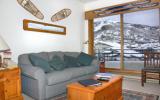 Appartamento Di Vacanza Steamboat Springs: Snow Flower Condos 303 ...