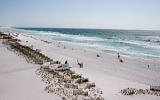 Appartamento Di Vacanza Destin Florida: Pelican Beach Resort 00501 ...