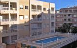 Appartamento Di Vacanza Torrevieja: Torrevieja Es9755.952.1 