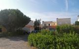 Casa Di Vacanza Saint Cyprien Plage: Fr6665.200.2 