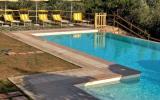 Apartment Collazzone Swimming Pool: It5500.300.2 