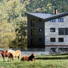 Apartment Andorra Pets Allowed: Appartamento Prat De Les Mines 