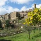 Apartment Roccatederighi: Maremma - Colline - Miniappartamento In Dimora ...