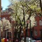 Apartment Stati Uniti: Appartamento - New York / Soho 