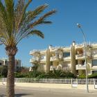 Apartment Spagna: Bellissimo Appartamento Fronte Mare A Puerto Pollensa 