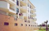 Apartment Albardeira: Appartamento Per 4 Persone, 1 Camera Da Letto 