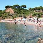 Apartment Toscana: Grazioso Monolocale A 200 Mt Dalla Spiaggia Di Reale (Porto ...