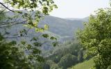 Apartment Vordertodtmoos: Self Catering 1 Foresta Nera In Germania ...