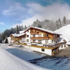 Apartment Tirol: Dettagli Wohntraum Kitzbüheler Horn Per 4 Persone, 1 Camera ...