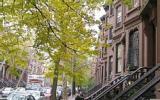Apartment New York: Un Luogo Ideale Per Soggiornare A Park Slope 